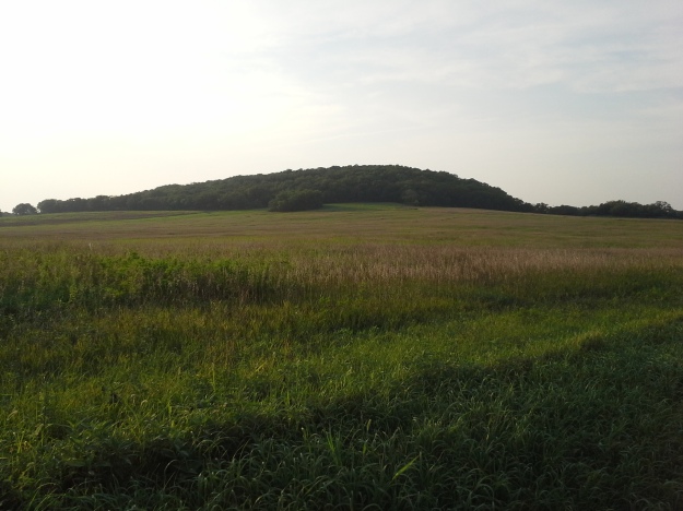 Blue Mound from the southeast.