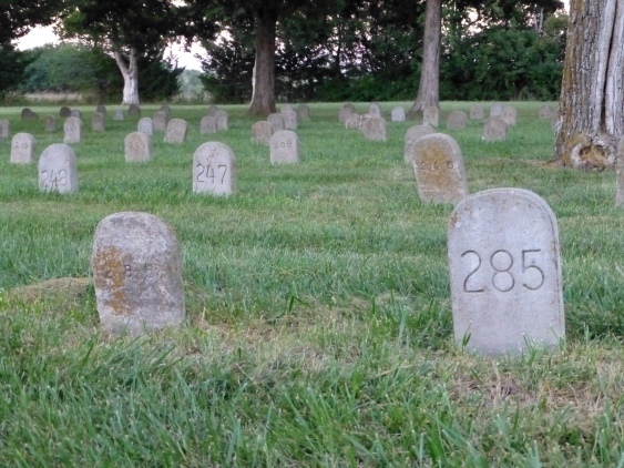 numbered graves