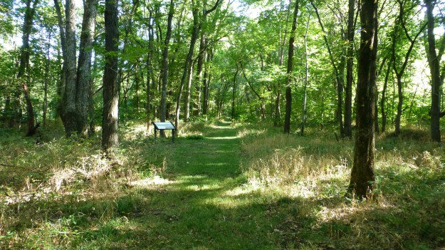 Well-maintained trails through the grasses and woody area by the creek are dotted with kiosks that tell the story of the Battle of Mine Creek. Bug spray is a good idea if you visit during the spring, summer, or fall before a hard freeze.
