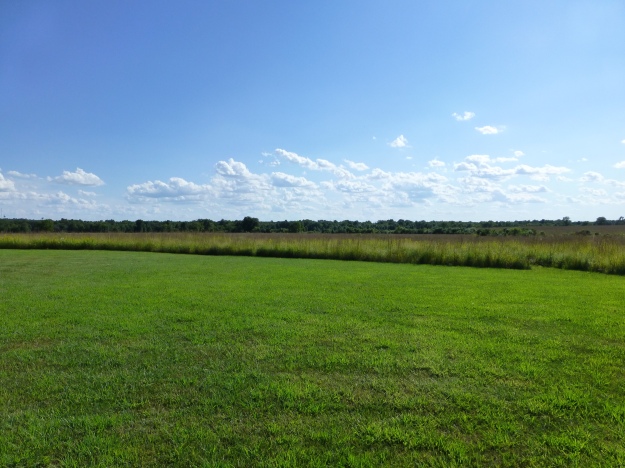 Looking south at the Mine Creek Battlefield site. The land has been returned to native prairie, recreating how it would have appeared to men who fought there in 1864.
